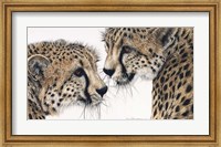 A Special Bond Fine Art Print