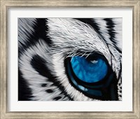 Tiger Eye Fine Art Print