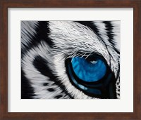 Tiger Eye Fine Art Print
