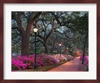 Forsythe Park Fine Art Print