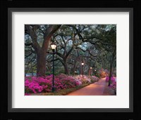 Forsythe Park Fine Art Print