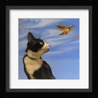 Fly Away Fine Art Print