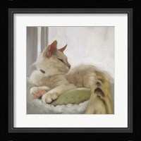 Through the Window Fine Art Print