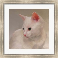 White Kitten Fine Art Print