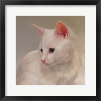 White Kitten Fine Art Print