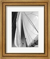 Sailboat Sails Florida Fine Art Print