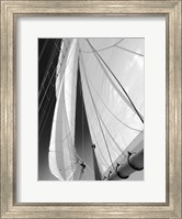 Sailboat Sails Florida Fine Art Print