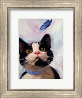 Cat and Butterfly Fine Art Print