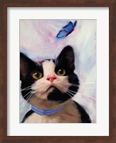 Cat and Butterfly Fine Art Print