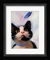 Cat and Butterfly Fine Art Print