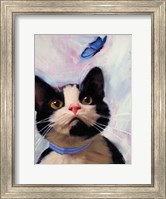 Cat and Butterfly Fine Art Print