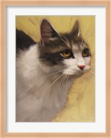 Derby Cat Fine Art Print
