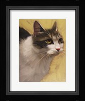 Derby Cat Fine Art Print