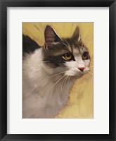 Derby Cat Fine Art Print