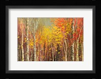 Tangled Colors Fine Art Print