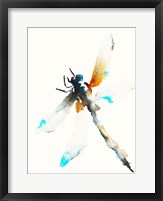 Blue & Brown Dragonfly Fine Art Print