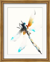 Blue & Brown Dragonfly Fine Art Print