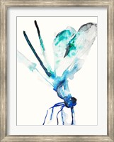 Blue & Green Dragonfly Fine Art Print