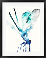 Blue & Green Dragonfly Fine Art Print