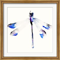 Blue & Violet Dragonfly Fine Art Print