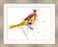 Pheasant Fine Art Print