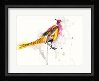 Pheasant Fine Art Print