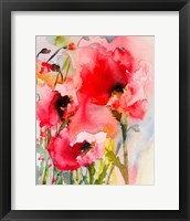 Summer Poppies Framed Print