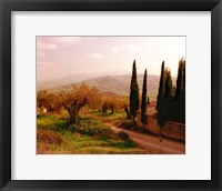 Toscana, Italia No. 709 Fine Art Print