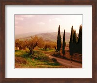 Toscana, Italia No. 709 Fine Art Print