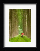 Two Umbrellas, Belgium Fine Art Print