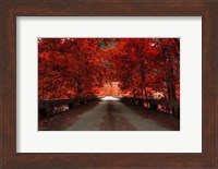 Bridge (Red) Fine Art Print