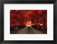 Bridge (Red) Fine Art Print