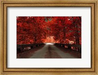 Bridge (Red) Fine Art Print