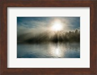 Rising above the Water Fine Art Print