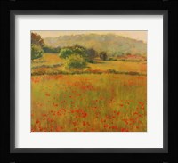 Amapolas III Fine Art Print