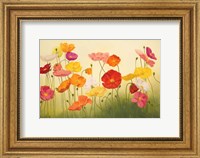 Sunlit Poppies Fine Art Print