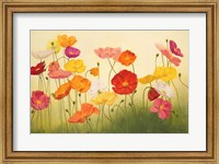 Sunlit Poppies Fine Art Print
