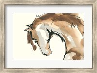 Horse Head II Fine Art Print