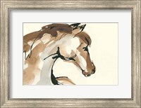 Horse Head I Fine Art Print