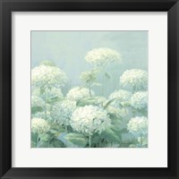 White Hydrangea Garden Sage Crop Fine Art Print