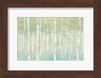 Birches at Sunrise Fine Art Print