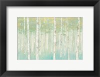 Birches at Sunrise Fine Art Print