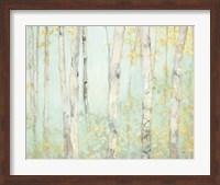 Spring Birches Fine Art Print