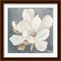Serene Magnolia Gray Fine Art Print