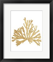 Pacific Sea Mosses IV Gold Framed Print