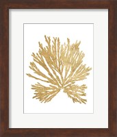 Pacific Sea Mosses II Gold Fine Art Print