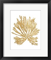 Pacific Sea Mosses II Gold Framed Print