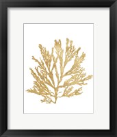 Pacific Sea Mosses I Gold Framed Print
