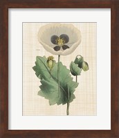 Herbal Botany XVI Linen Crop Fine Art Print