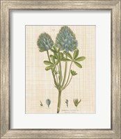 Herbal Botany XV Linen Crop Fine Art Print
